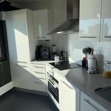 Prestigious With Pool Apartament Monte Carlo